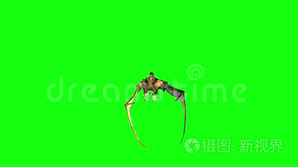 翼龙飞行三维动画。 绿色屏幕4K镜头。
