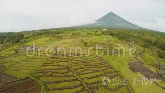 马永火山靠近菲律宾的勒加兹皮市。 从空中俯瞰稻田。 玛雅火山是一座活火山，