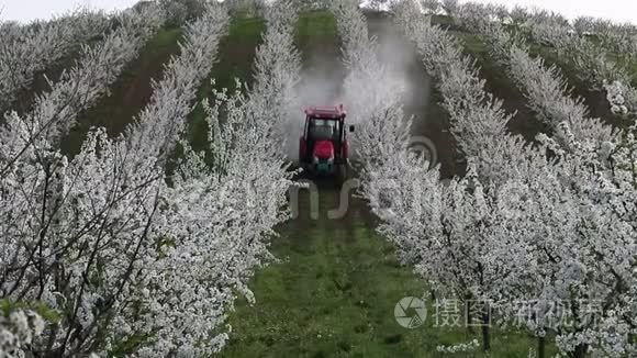 拖拉机在樱桃园喷洒杀虫剂视频