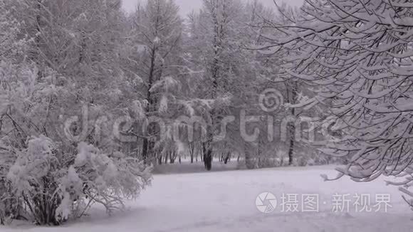 冬季降雪