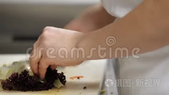 准备生菜厨房厨师切菜.