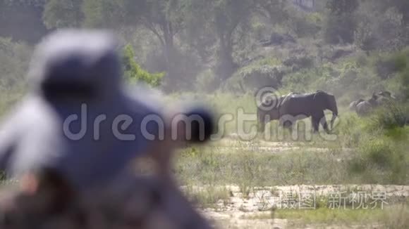 摄影师捕捉遥远的大象互动视频