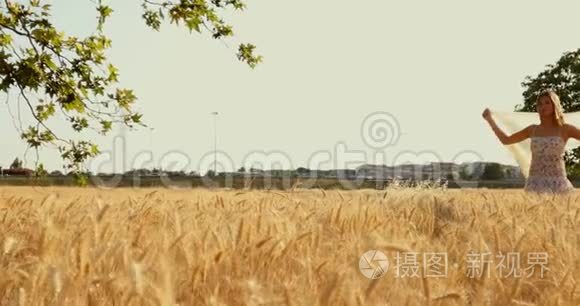 一个戴着面纱的漂亮女孩走在麦田里