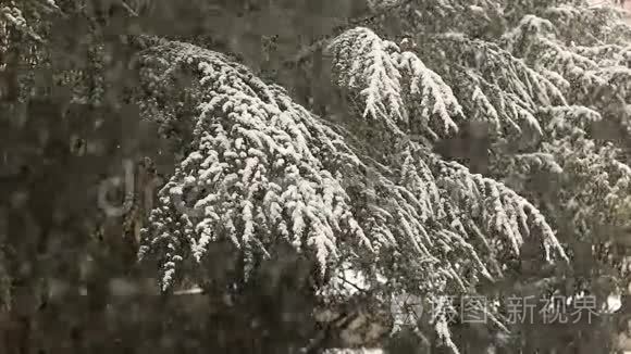 大雪纷飞视频