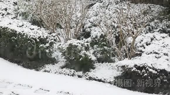 大雪纷飞视频