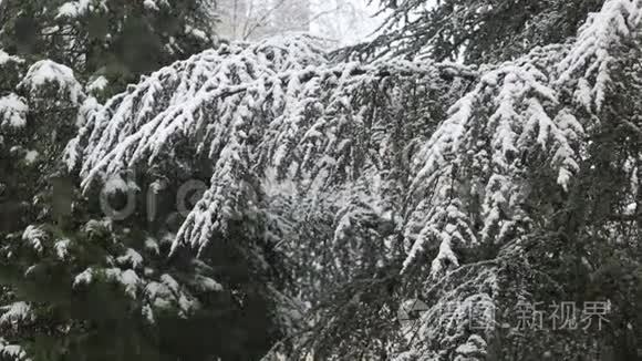 大雪纷飞视频