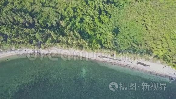 全景观绿松石海洋海岸植物视频