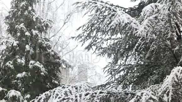 大雪纷飞视频