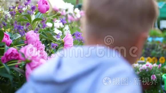 开花园花.. 孩子沿着小路沿着花跑.. 男孩在花园里玩。 快乐