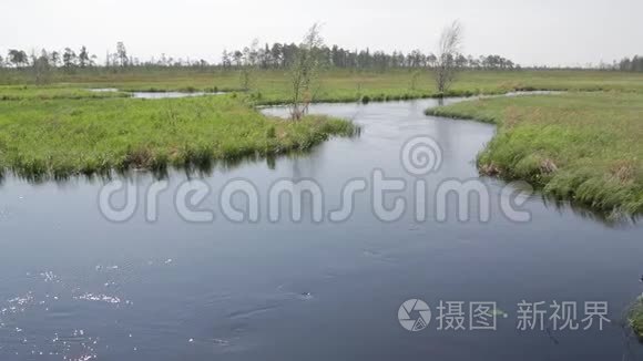 春天洪水中水流湍急的无名河流视频