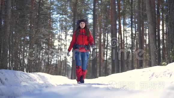 女游客在森林里徒步旅行。 在冬季森林徒步旅行时，微笑着快乐的活跃女性。 慢动作。