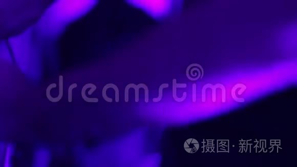 夜生活，专业DJ在俱乐部表演酷和现代音乐。 缔约方