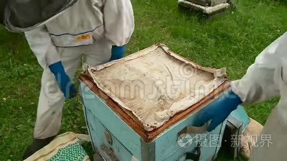 养蜂人从蜂巢和蜂窝中取出蜂蜜视频
