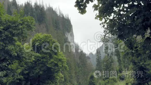 多雨天气下的斯洛伐克峡谷视频