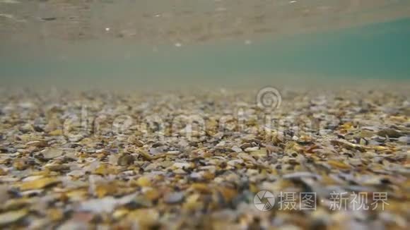 小贝壳在水下的缓慢运动视频