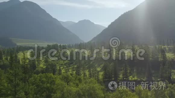 空中无人机景：在日落柔和的光线下飞越松树林、山河和乡村道路。 山区