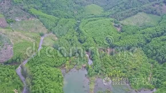 湖边高鸟瞰丛林和森林种植园