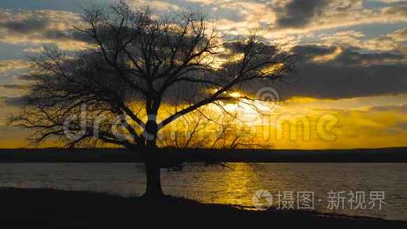 夕阳的云彩飞过湖面，水边孤树的剪影