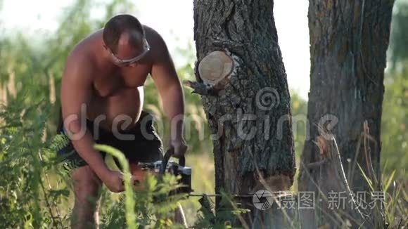 戴着链锯眼镜的人在锯干树视频