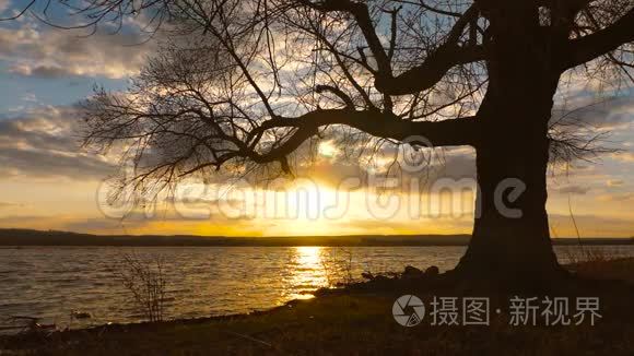 夕阳的云彩飞过湖面，水边孤树的剪影