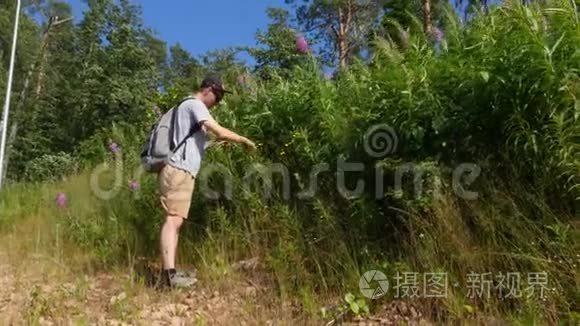 年轻人收集草药花瓣视频