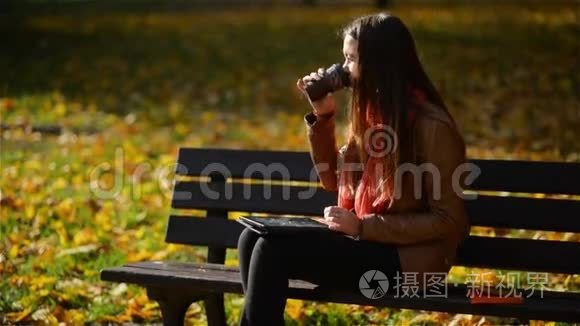 快乐的年轻学生女孩，带着一张桌子和一个一次性咖啡杯坐在长凳上，在秋天用笔记本电脑