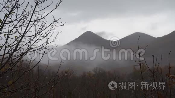 秋天，树枝上有一滴雨和黄叶。 云云