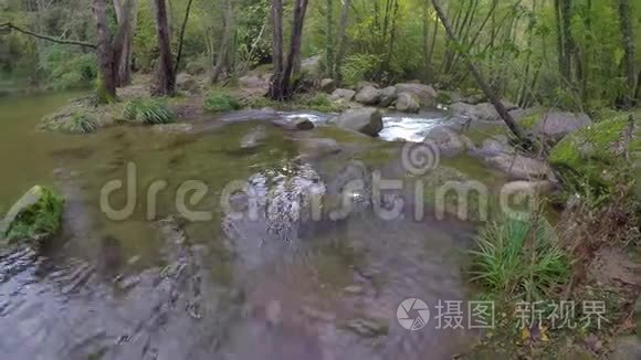 在阴天的时候，西班牙森林里的一条小小溪