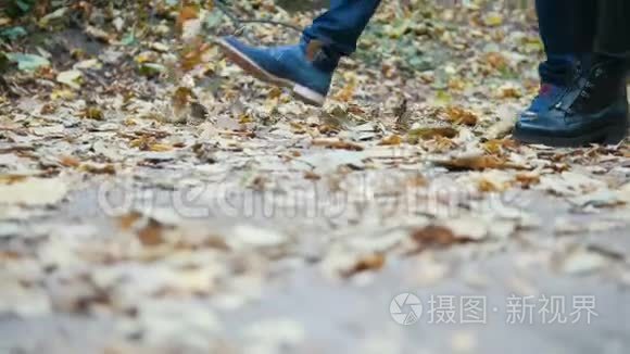 年轻男女的腿在秋叶上行走视频
