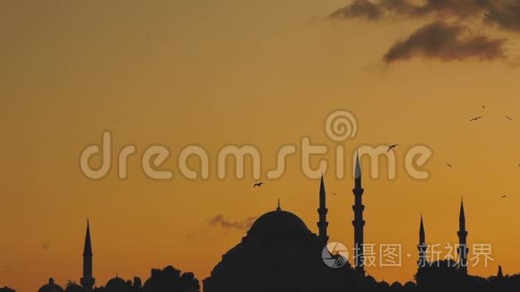 从土耳其伊斯坦布尔的Bosphorus日落时，可以看到Suleymaniye清真寺的慢镜头，海鸥在那里飞来飞去。