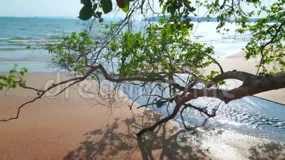 泰国克拉比澳昂海滩的小溪视频