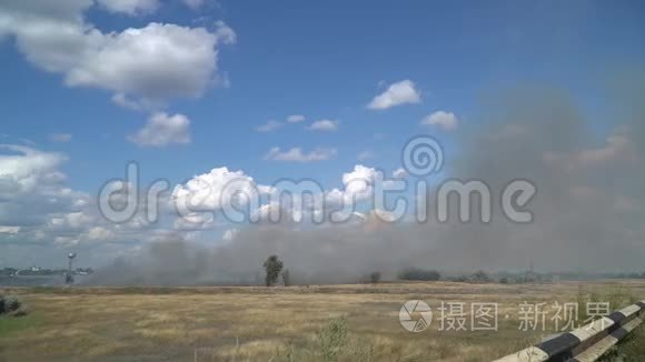 夏季草地燃烧时加速视频