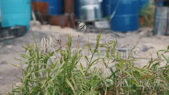 很多油桶里都有汽油和机油视频