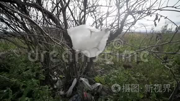 塑料袋粘在树枝上，在风中飘动。污染概念