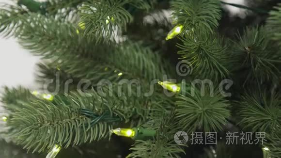 圣诞树修剪和装配调整灯
