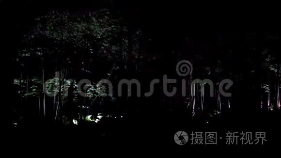 园林时代装饰夜间照明树木视频