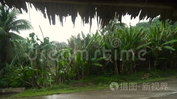 雨点从屋顶落下。