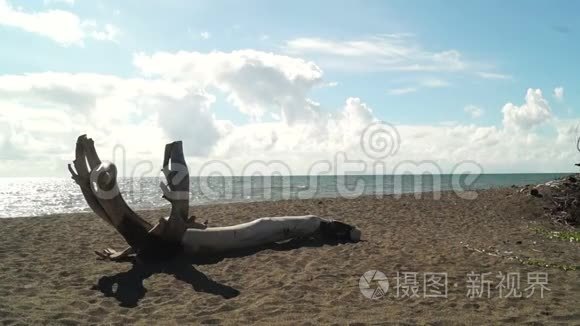 漂流的木头躺在沙滩上视频