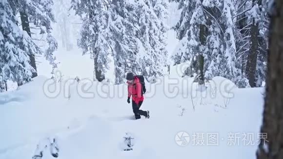 年轻的白种人妇女在大自然中的户外徒步旅行中度过了她的空闲时间，覆盖着雪。