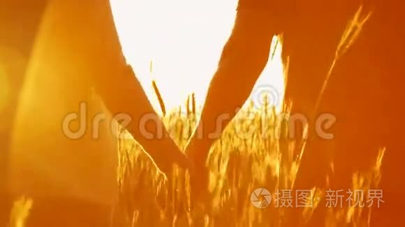 一对爱在夕阳下的小麦