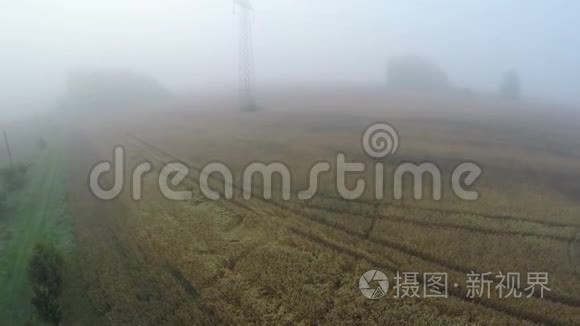 雾蒙蒙的夏日清晨，在农田里的风景中，蛙人高高飞起