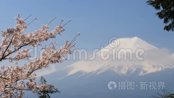 樱花富士山视频