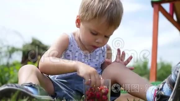 孩子坐在草坪上吃红浆果。 维多利亚花园