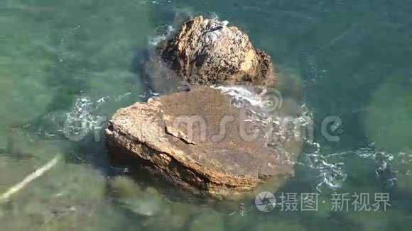 浅海水域岩组视频