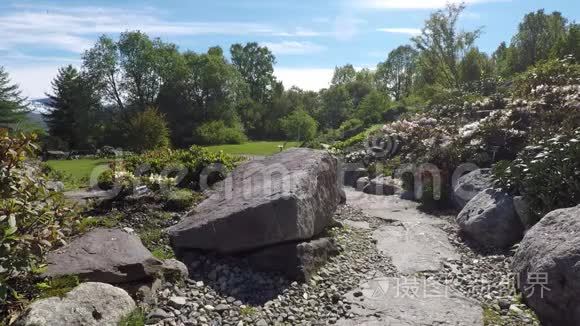 阳光明媚的岩石步道上有植物和鲜花