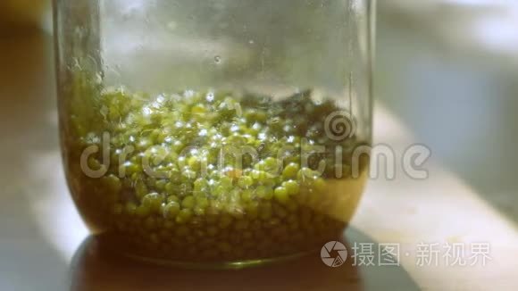 在自然光线下用绿豆或金克特写搅拌玻璃瓶