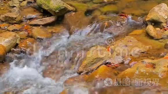 山河在岩石上的流动视频