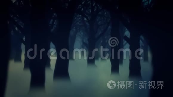 4黑森林雾树动画背景壁纸