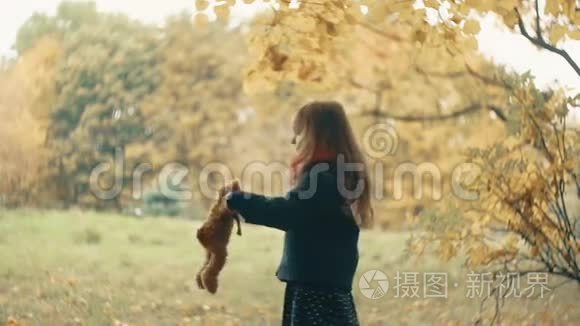 有趣，欢快可爱的小女孩带着她的玩具旋转，泰迪熊黄色在惊人的秋天公园慢动作