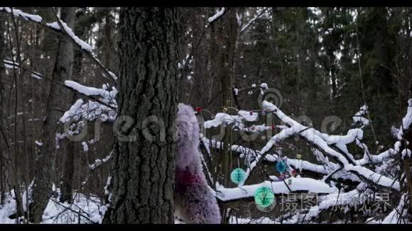 冬林中的雪人童话人物.. 户外幻想超高清镜头。